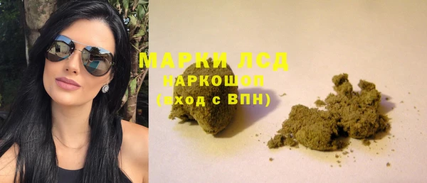 прущие грибы Покачи