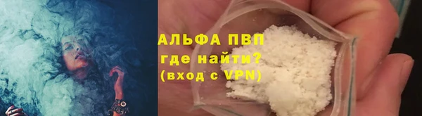 прущие грибы Покачи