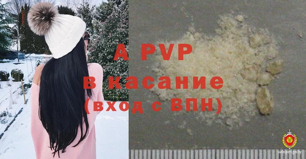 прущие грибы Покачи