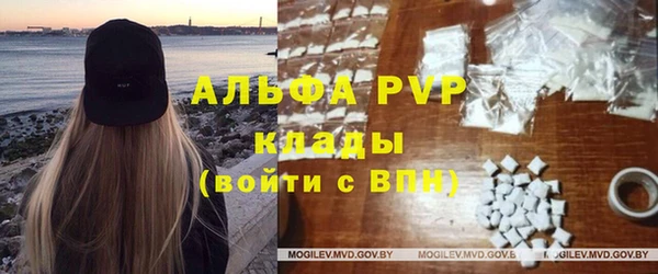 ПСИЛОЦИБИНОВЫЕ ГРИБЫ Приозерск