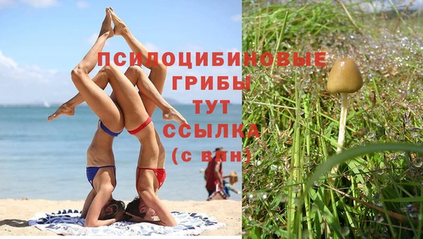 прущие грибы Покачи