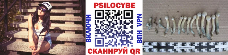Купить  Каспийск  Галлюциногенные грибы мухоморы 